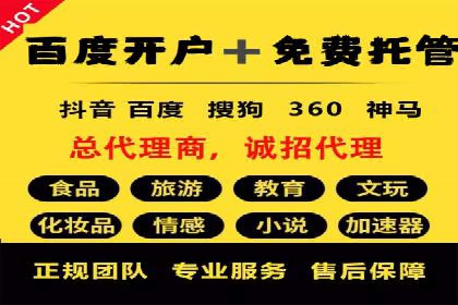 SEM托管服务，成功案例展示转化优势